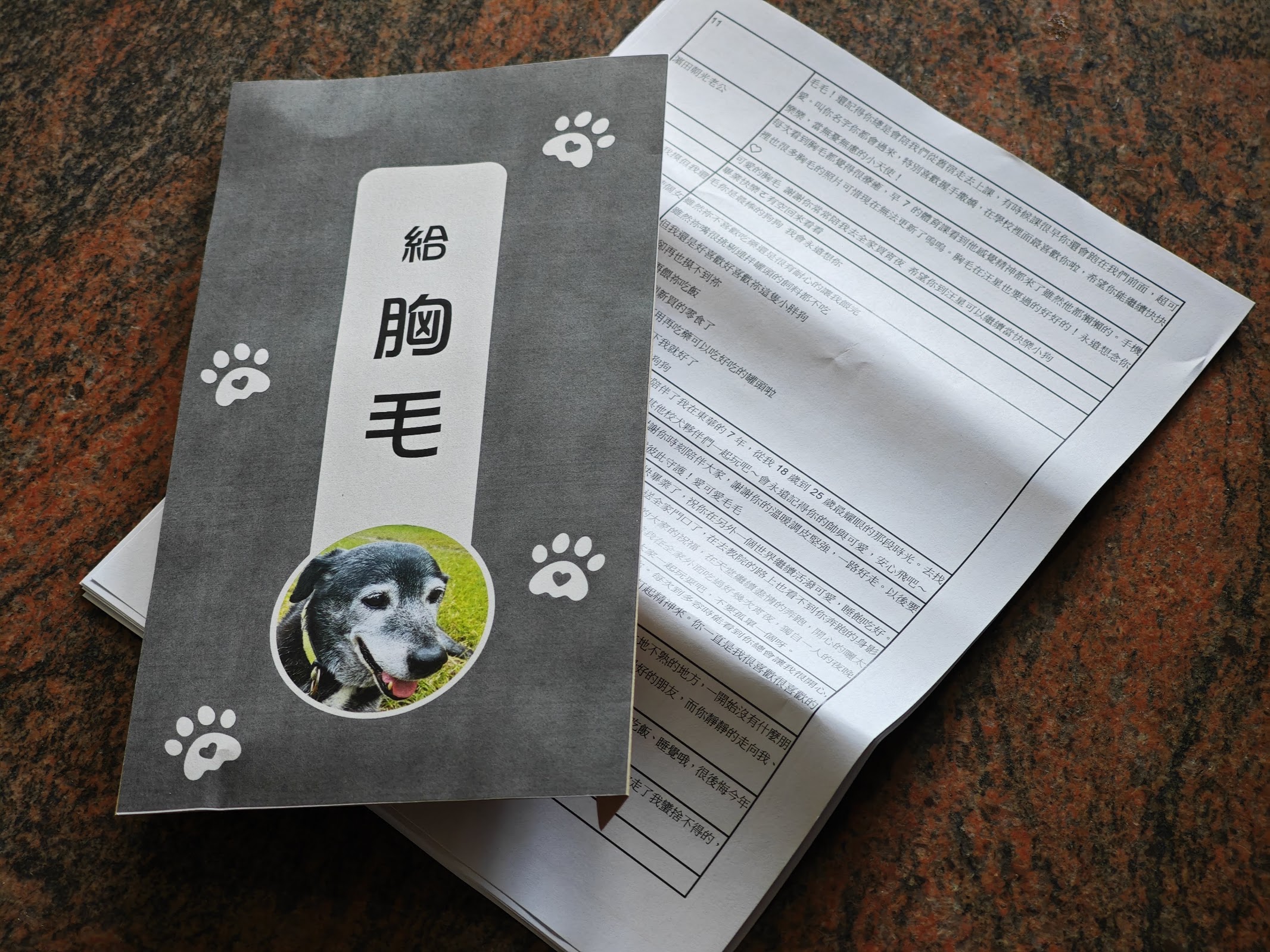 東華校狗胸毛3